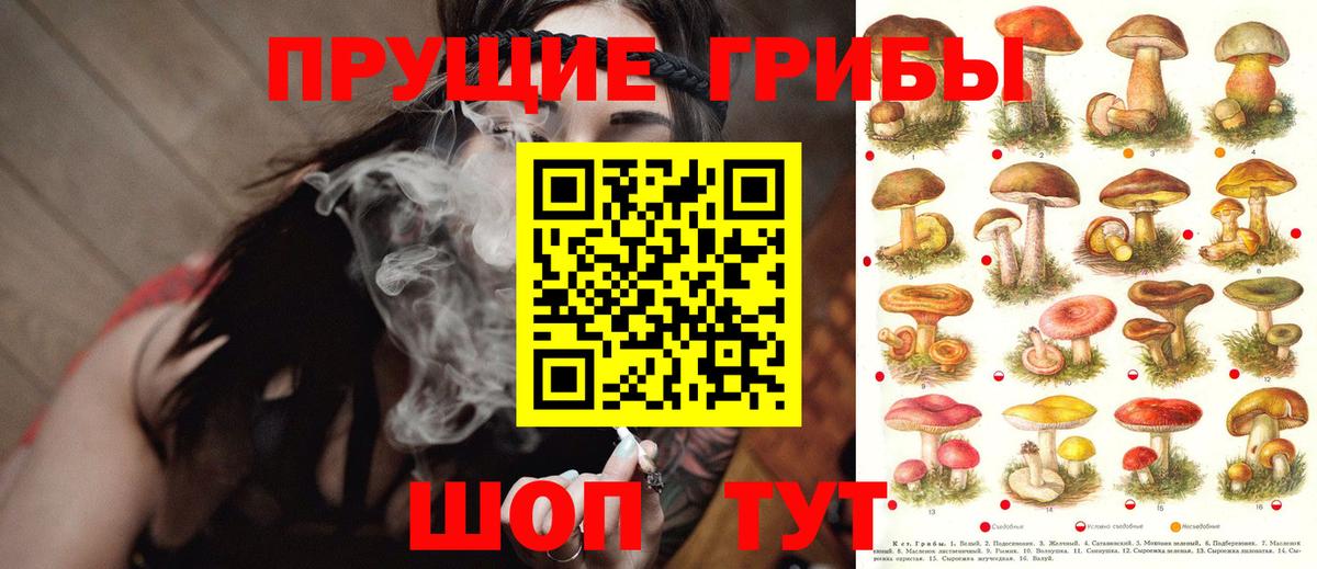 Галлюциногенные грибы Psilocybe  Вход с VPN  купить  сайты  Мелеуз 